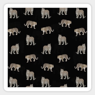 Modern Jungle Leopard Animals Black Pattern Sticker